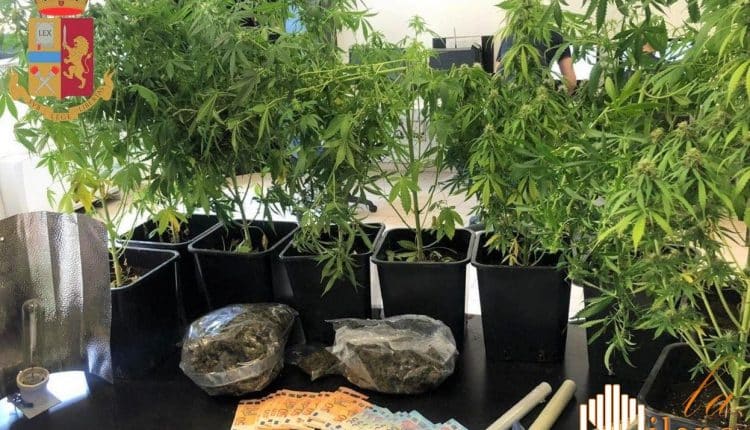 Milano, 4 kg di marijuana nell'appartamento. Arrestati