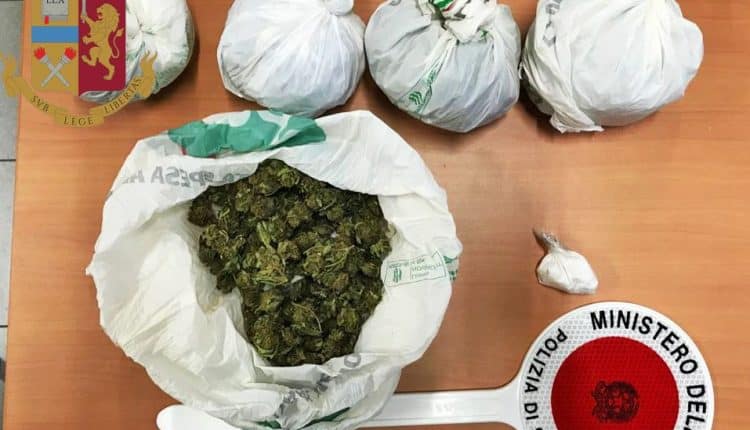 Milano, Rozzano. in cantina con la marijuana, la Polizia lo arresta