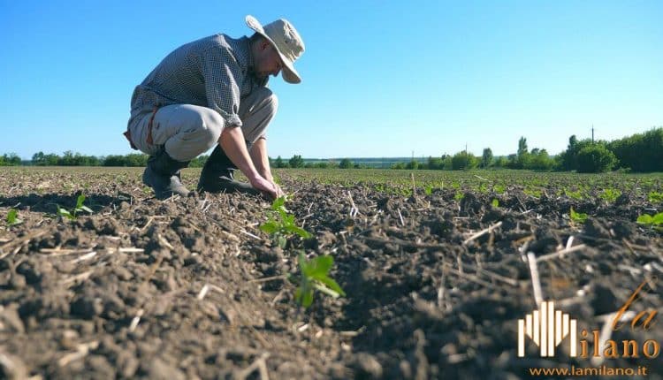 Regione Lombardia | Agricoltura Rolfi