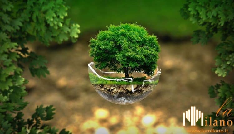 Lecco, aperitivi ambientali: quattro appuntamenti online per riflettere sull'ecosistema