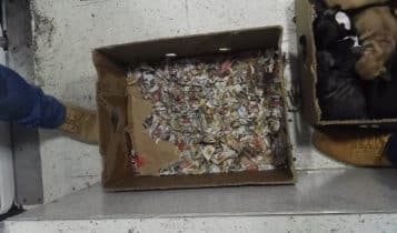 Lodi, traffico illecito di cuccioli fermato dai Carabinieri