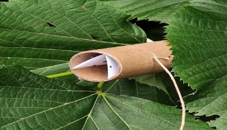 Lombardia | Agricoltura