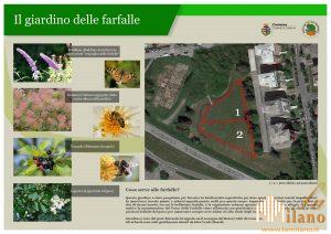 Cremona, oasi per le farfalle in un giardino per la conservazione della biodiversità