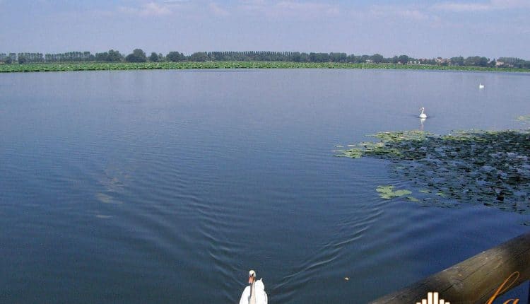 Mantova, il Lago Superiore punta a diventare balneabile entro 3 anni
