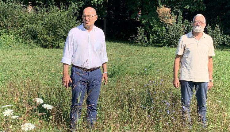 Cremona, oasi per le farfalle in un giardino per la conservazione della biodiversità