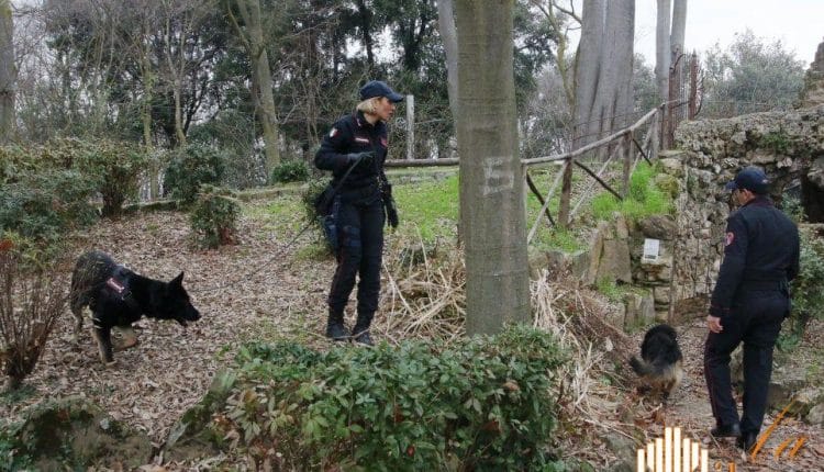 Brescia, vendeva cocaina all'esterno dell'ex fabbrica "Ideal Clima"