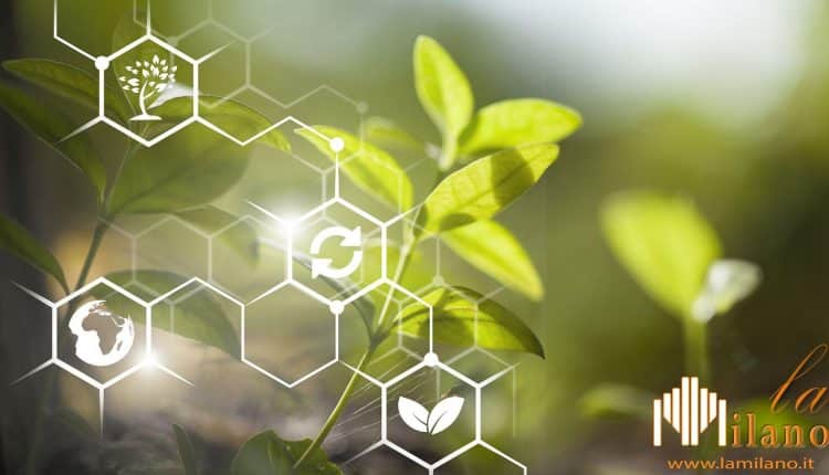 Cremona, l'Agri-food del domani a sostegno dei giovani e delle imprese