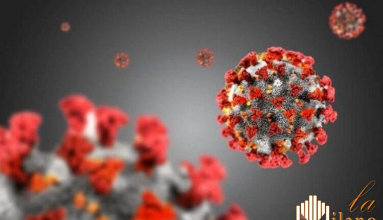 Coronavirus, 600 volontari per la sperimentazione sul vaccino anticovid