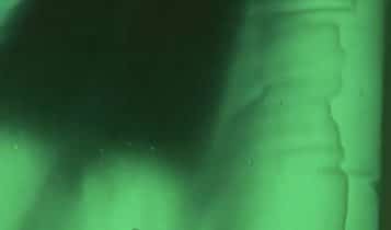 Estetica Dina Ferreri