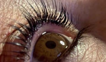 Estetica Dina Ferreri