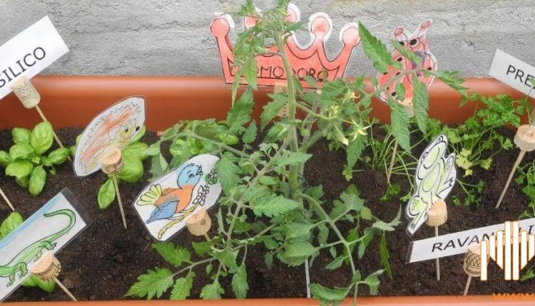 Milano, iniziativa formativa: un Orto Scolastico.