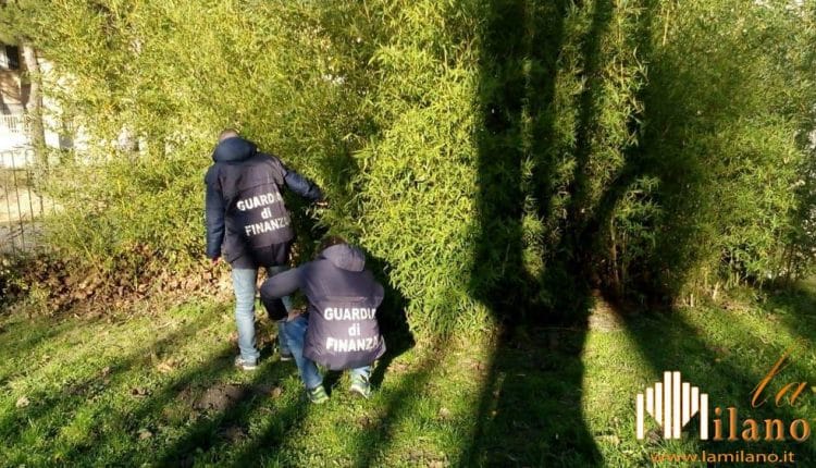 Brescia, sequestrati 9 gr di cocaina in un parco tra via Malta, via Sardegna e via Sostegno