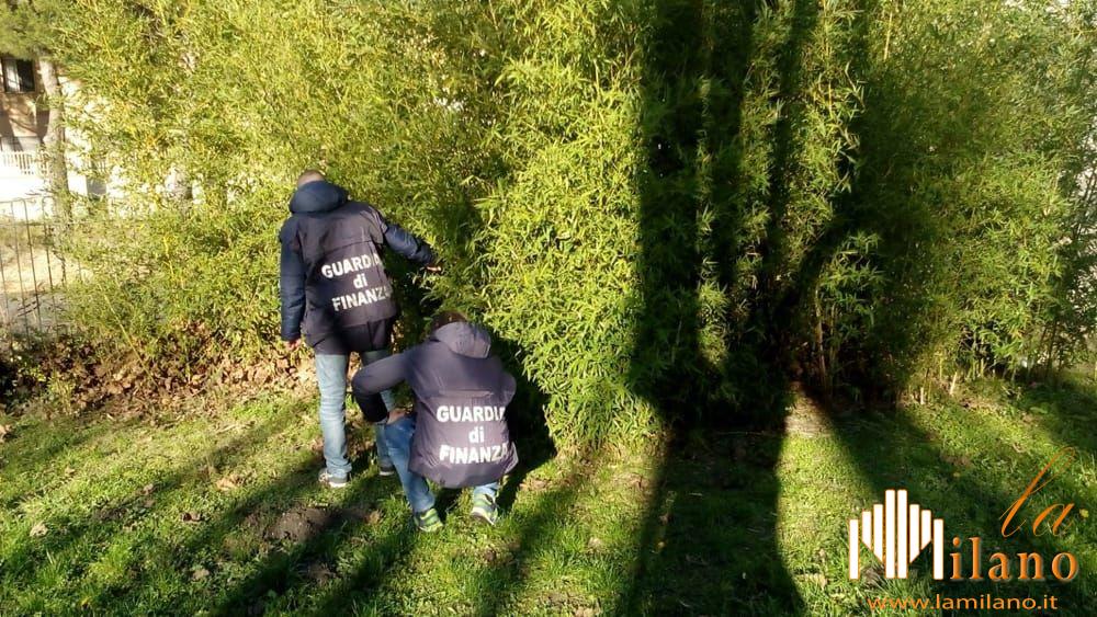 Brescia, sequestrati 9 gr di cocaina in un parco tra via Malta, via Sardegna e via Sostegno