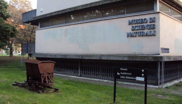 Brescia, appuntamento al Museo di Scienze Naturali
