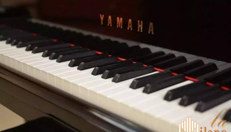 Pavia, nuovo appuntamento con la musica classica al Castello Visconteo, "L'ottocento pianistico"