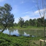 Cremona, “BioBlitz” nel Parco del Po e del Morbasco