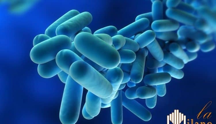 Milano, situazione legionellosi sotto controllo a Busto Arsizio, due decessi