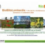 Cremona, “BioBlitz” nel Parco del Po e del Morbasco