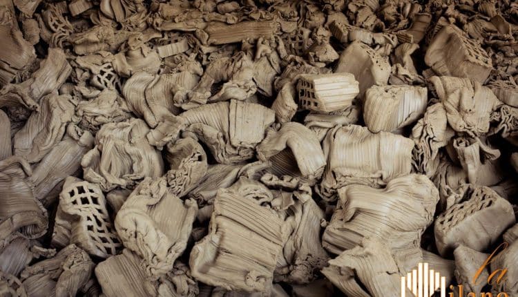 Cremona, mostra Làter- La Terra e la performance di danza butoh