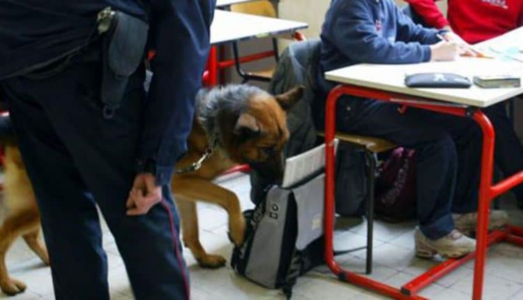 Varese, 17enne rietra a scuola con dell'hashish, segnalato dalle autorità