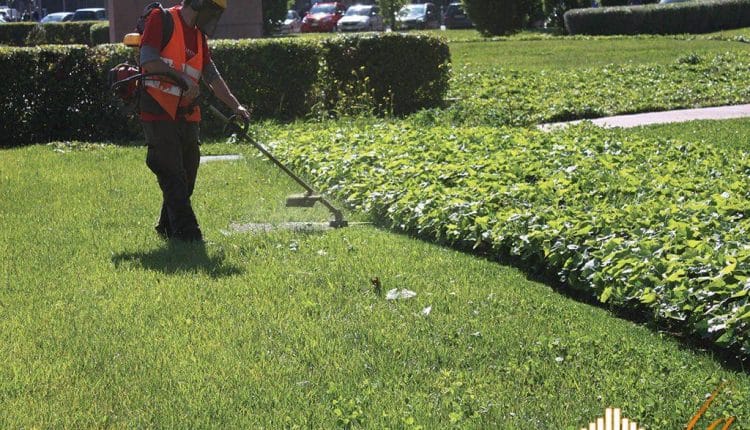 Cremona, lavori di riqualificazione dell'area verde di Porta Mosa
