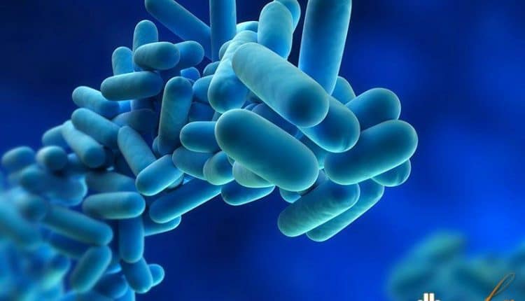 Varese, 16 casi di legionella a Busto Arsizio. 1 persona deceduta