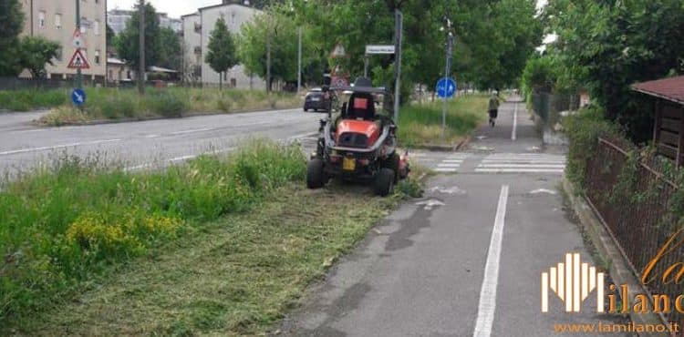 Cremona, dal 24 settembre parte la quinta fase della manutenzione del verde pubblico