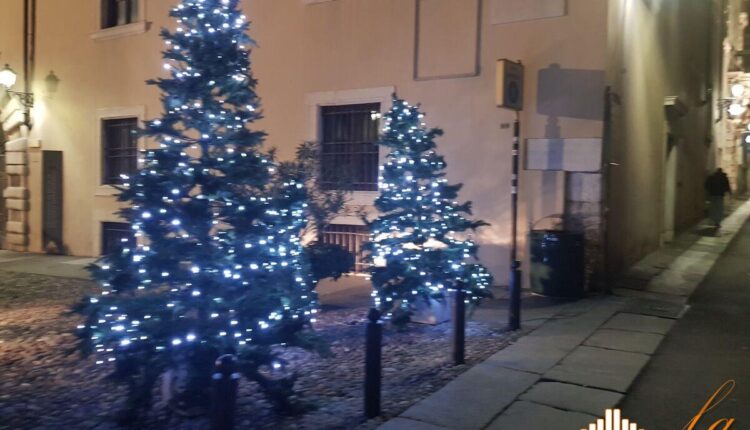 Brescia, progetto solidale: "Quest'anno l'albero di Natale te lo faccio io!"