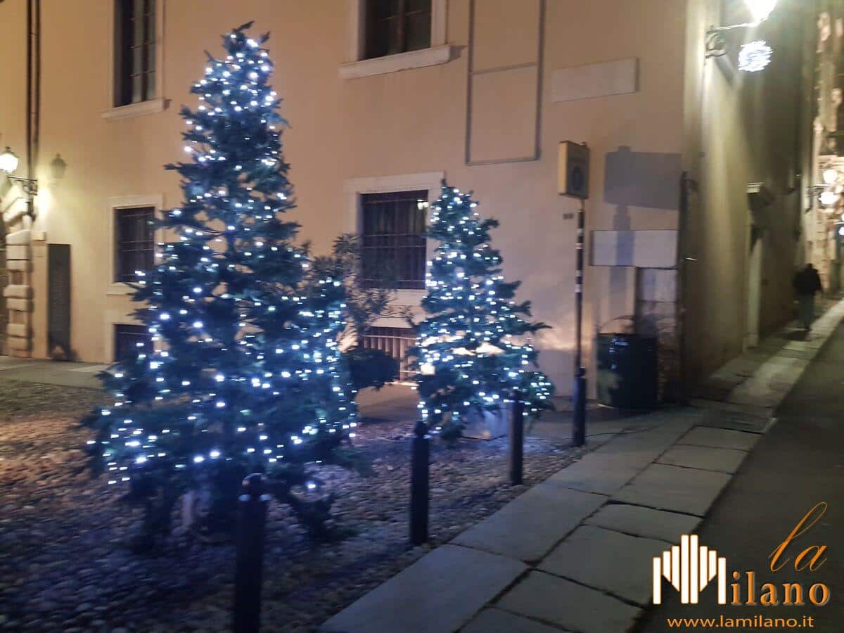 Brescia, progetto solidale: "Quest'anno l'albero di Natale te lo faccio io!"