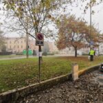 Cremona, provvedimento di contenimento urbano dei colombi