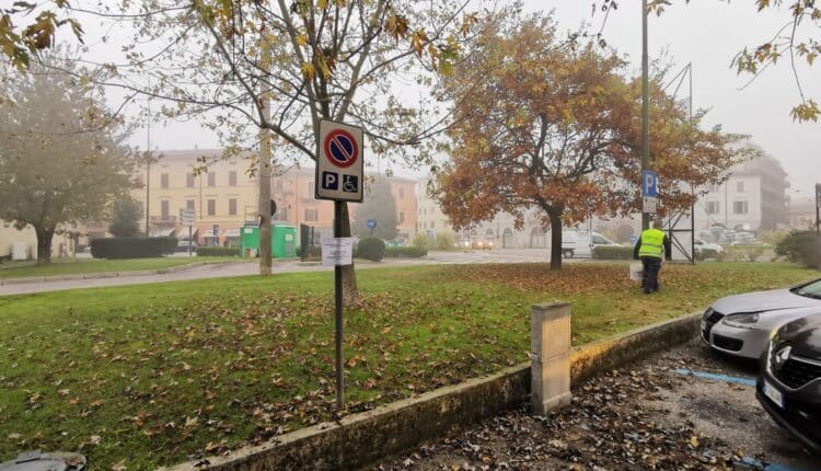 Cremona, provvedimento di contenimento urbano dei colombi
