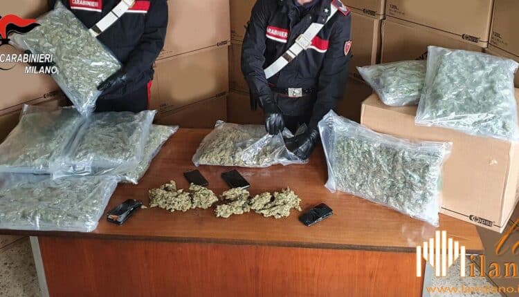 Monza, 276 kg di marijuana in un capannone a Misnito. Arrestate 5 persone