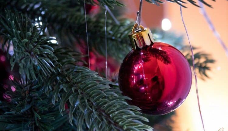 Brescia, progetti solidali: "L'albero di Natale te lo faccio io!"