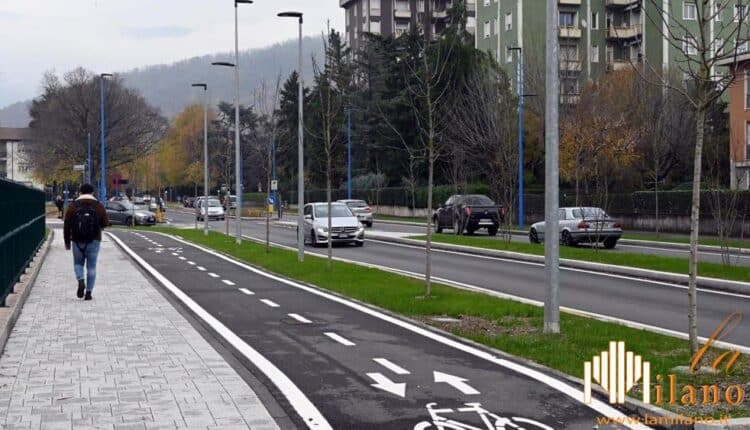 Brescia, rinnovo delle alberate stradali