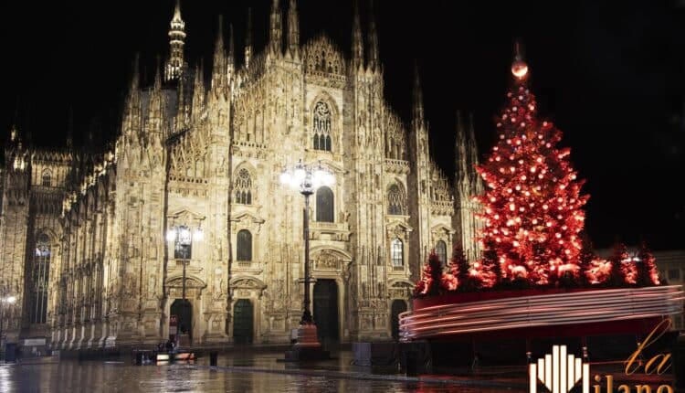 Milano, gli alberi di natale illuminano tutta la Città: ecco gli alberi e dove sono