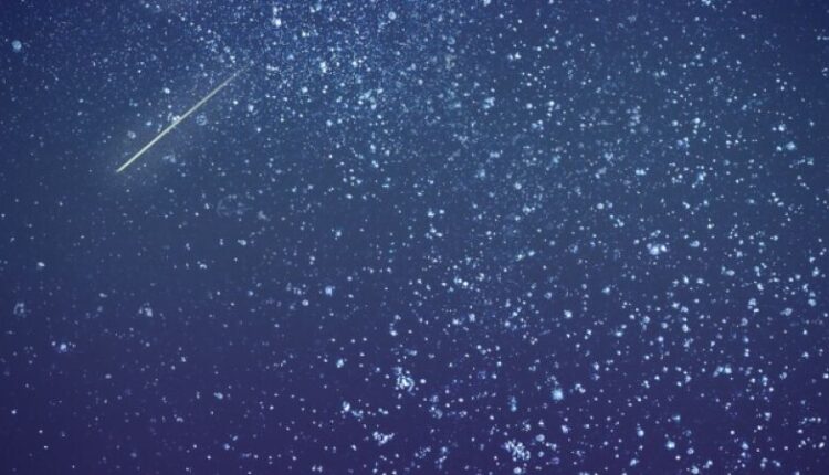 Questa sera il Planetario entra in tutte le case con la stella di Natale