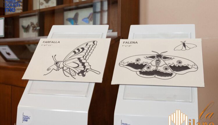 Lecco, Percorso multisensoriale nei musei del Si.M.U.L. Polo di Palazzo Belgiojoso