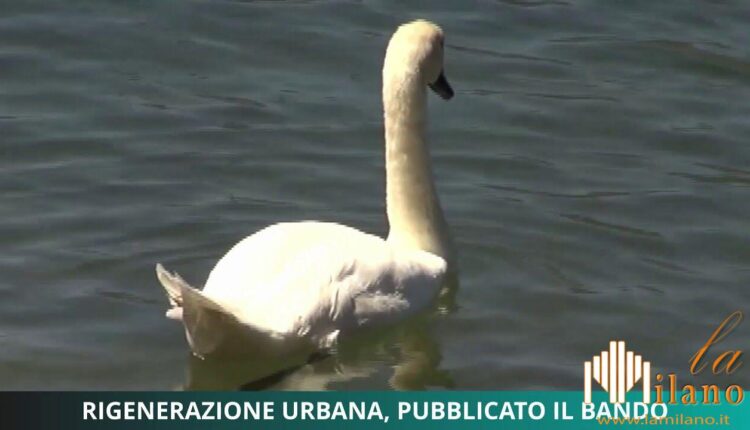 Lecco, Rigenerazione urbana, motore di crescita e sviluppo