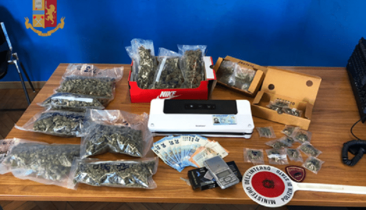 Varese, confezionava marijuana nel garage del socio, individuato e arrestato