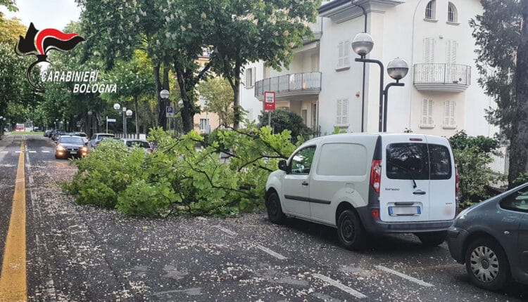 Bologna, cade un albero e danneggia una macchina, traffico deviato sulla SS9 a causa delle forti raffiche di vento