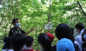 Macerata, il bosco urbano di Collevario si arricchisce di un percorso natura realizzato dagli alunni della scuola primaria Dolores Prato