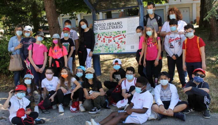 Macerata, il bosco urbano di Collevario si arricchisce di un percorso natura realizzato dagli alunni della scuola primaria Dolores Prato