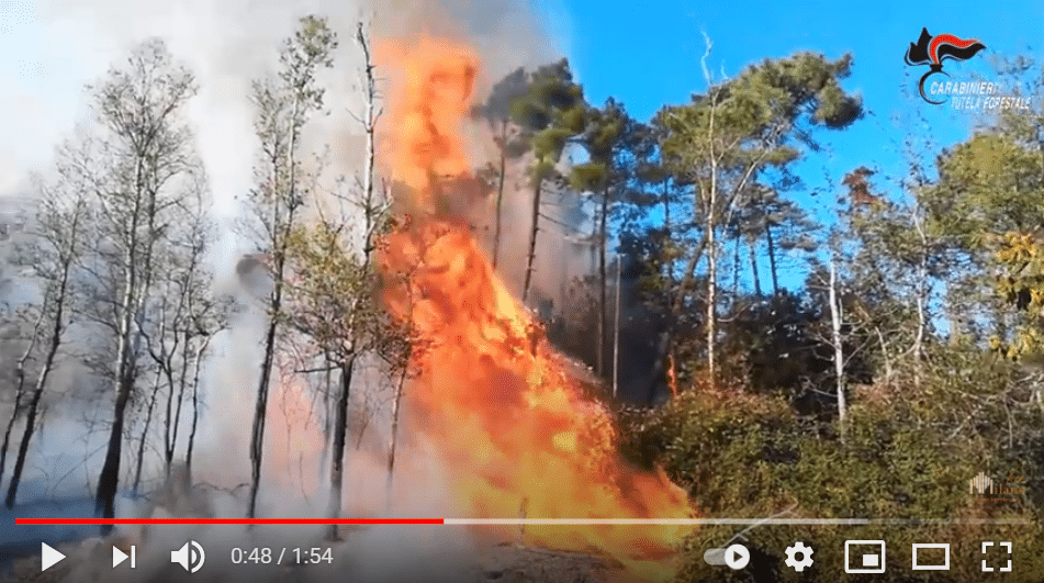 L'innovazione tecnologica per la tutela dell'ambiente: monitoraggio delle foreste italiane tramite tecniche di “remote sensing” satellitare
