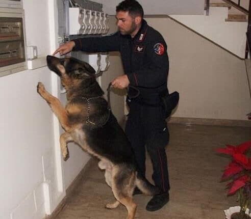 Modica, controllo straordinario del territorio: una persona arrestata ed una denunciata dalla Polizia