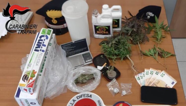 Trapani, coltivava marijuana nella propria abitazione ai fini di spaccio, arrestato un uomo