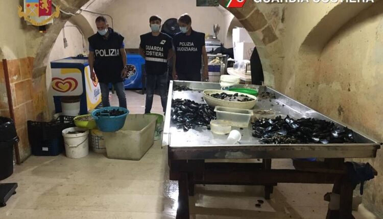 Taranto, sequestrati 300 chili di cozze in pessimo stato di conservazione