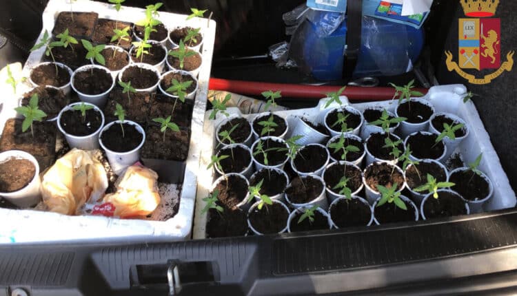 Contrasto allo spaccio di stupefacenti: la Polizia di Stato arresta marsalese