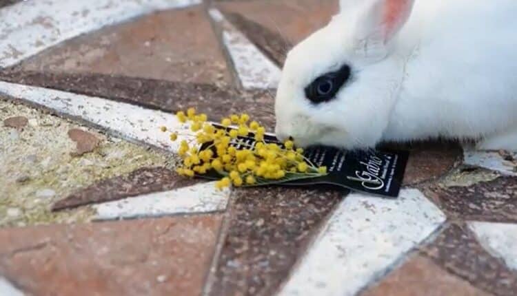 Lo Spot per la Festa della Donna che ha conquistato Milano e l'Italia