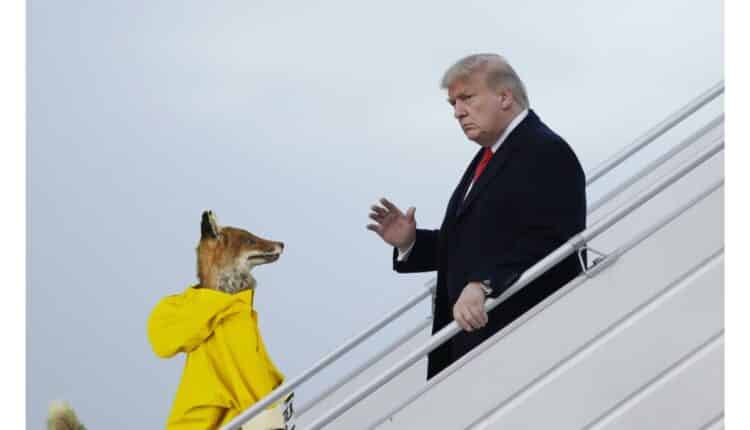 Padova, domani al via la mostra 'Time for Revolution-La protesta degli Animali'