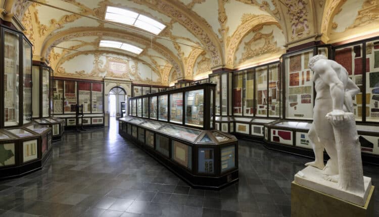 Modena, al Museo Civico incontri "Primordiali" per grandi e piccoli